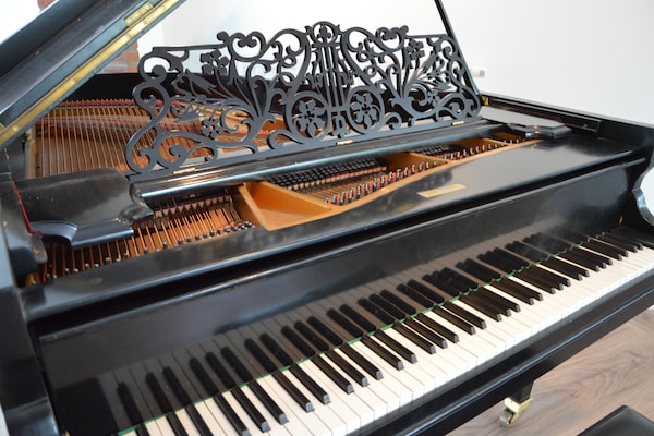 Foto van Landgoed Swolgen met sauna - Vakantiehuis in Swolgen - Ambiance