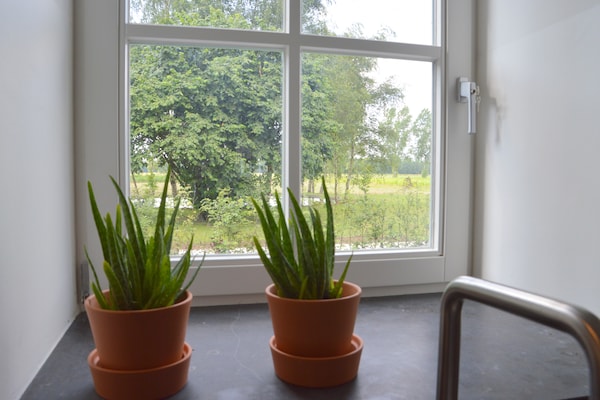 Foto van Landgoed Swolgen met sauna - Vakantiehuis in Swolgen - Ambiance