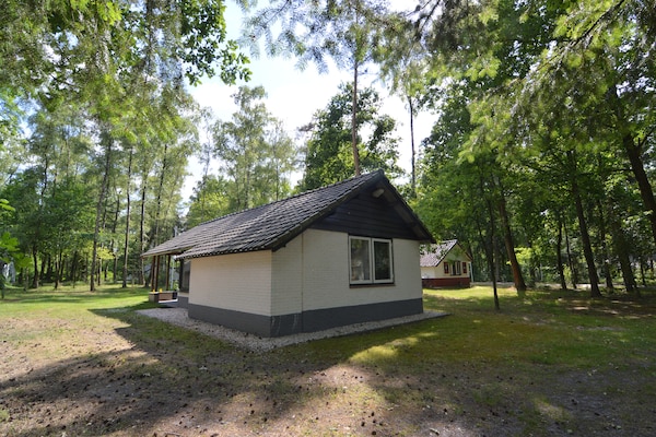 Foto van Vakantiehuis in Stramproy bij natuurgebied - Vakantiehuis in Stramproy - ExteriorSummer