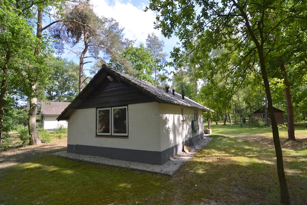 Foto van Vakantiehuis in Stramproy bij natuurgebied - Vakantiehuis in Stramproy - ExteriorSummer