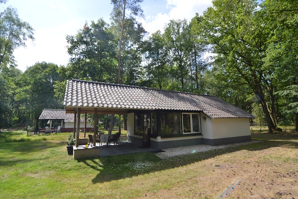 Foto van Vakantiehuis in Stramproy bij natuurgebied - Vakantiehuis in Stramproy - ExteriorSummer