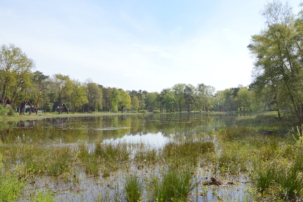 Foto van Vakantiehuis in Stramproy bij natuurgebied - Vakantiehuis in Stramproy - AreaSummer1KM