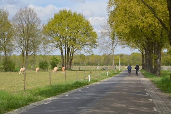 Foto van Vakantiehuis in Stramproy bij natuurgebied - Vakantiehuis in Stramproy - AreaSummer5KM