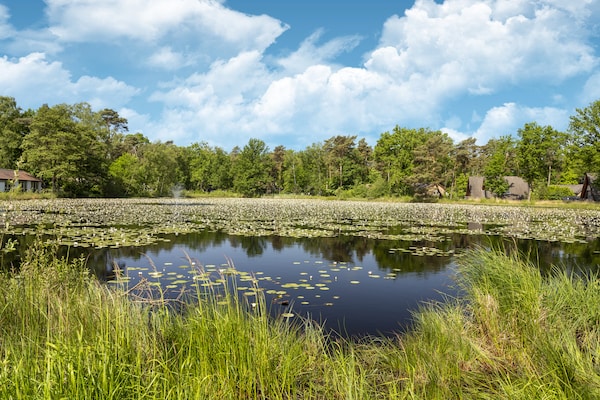 Foto van Bungalow in Limburg bij natuurgebied - Vakantiehuis in Stramproy - AreaSummer1KM