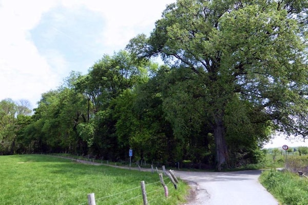 Foto van Vakantiehuis Bemelen bij natuurgebied - Vakantiehuis in Bemelen - AreaSummer20KM