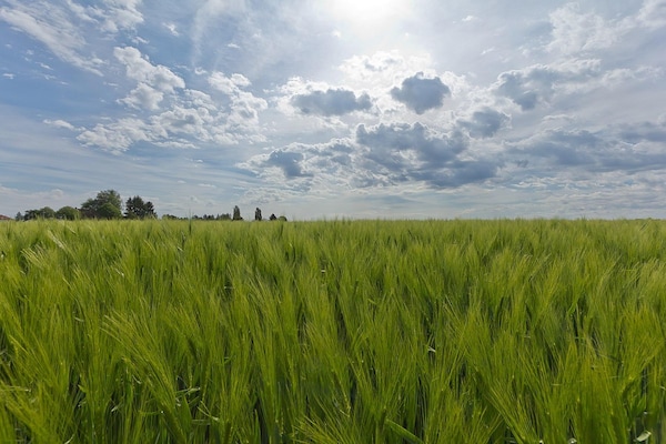 Foto van Vakantiehuis Bemelen bij natuurgebied - Vakantiehuis in Bemelen - AreaSummer20KM