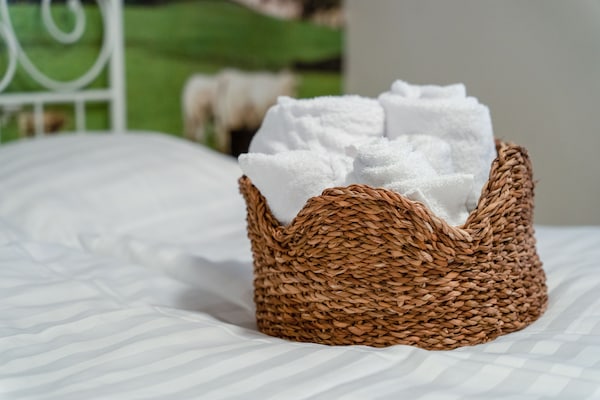 Foto van Huisdiervriendelijke plattelandsvakantie - Vakantiehuis in Voerendaal - Ambiance