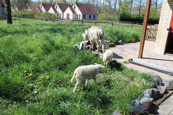 Foto van Bosvilla nabij Nijmegen - Vakantiehuis in Ewijk - ParkFacilities