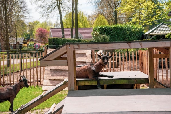 Foto van Chalet voor 4 personen met regendouche - Vakantiehuis in Lochem - Ambiance