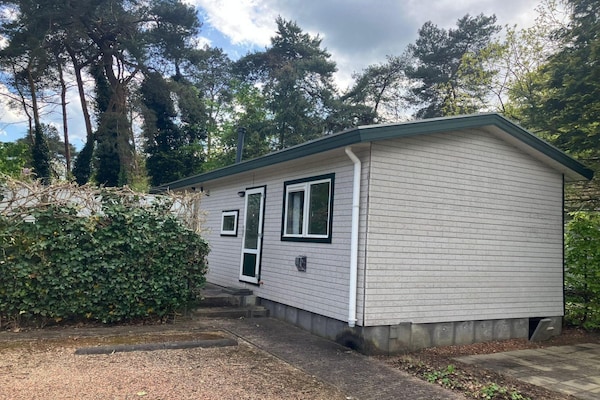 Foto van Chalet met buitenterras - Vakantiehuis in Lochem - ExteriorSummer