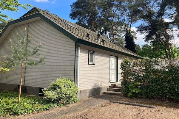 Foto van Chalet met buitenterras - Vakantiehuis in Lochem - ExteriorSummer