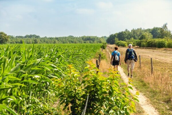 Foto van Boomhuttent met panoramisch uitzicht - Vakantiehuis in Zuna - AreaSummer5KM