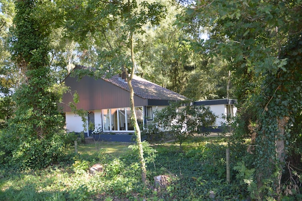 Foto van Vakantiehuis in Haaksbergen bij Meer - Vakantiehuis in Haaksbergen - ExteriorSummer