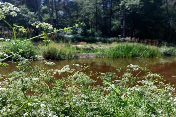 Foto van Vakantiehuis in Haaksbergen bij Meer - Vakantiehuis in Haaksbergen - AreaSummer20KM