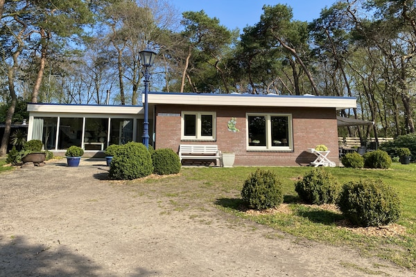 Foto van Vakantiehuis in Reutum met Bubbelbad - Vakantiehuis in Reutum-Weerselo - ExteriorSummer