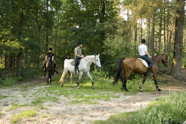 Foto van Chalet in Nederland bij Bos en Water - Vakantiehuis in Dalfsen - AreaSummer5KM