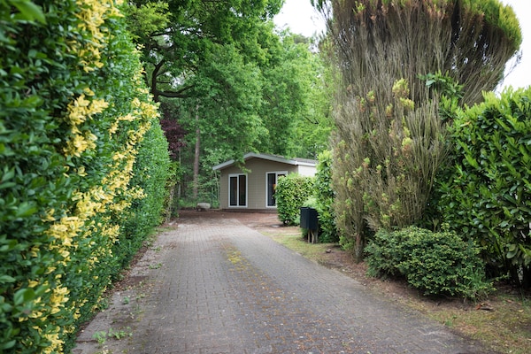 Foto van Buitenplaats de Berghorst - Vakantiehuis in Stegeren - ExteriorSummer