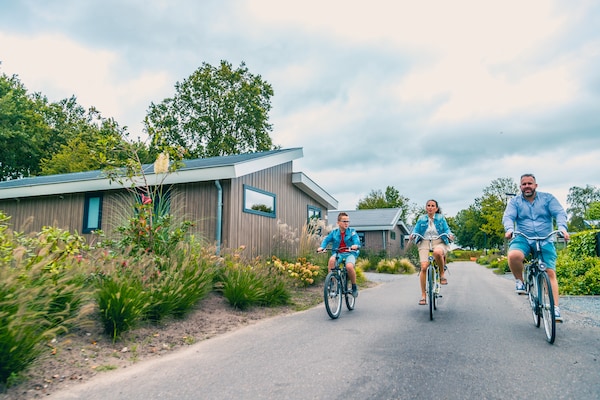 Foto van Eigentijds chalet aan het Veluwemeer - Vakantiehuis in Biddinghuizen - AreaSummer1KM