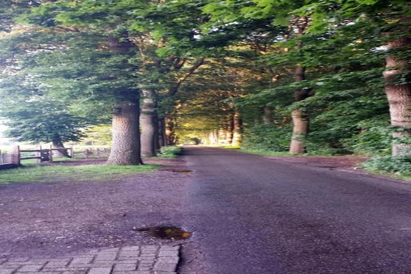 Foto van Chalet aan Vijver met Terras - Vakantiehuis in De Bult - Steenwijk - AreaSummer20KM