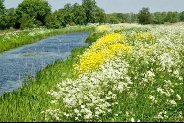 Foto van Villa bij Weerribbenpark - Vakantiehuis in Ossenzijl - AreaSummer20KM