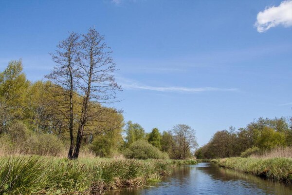 Foto van Villa bij Weerribbenpark - Vakantiehuis in Ossenzijl - AreaSummer20KM