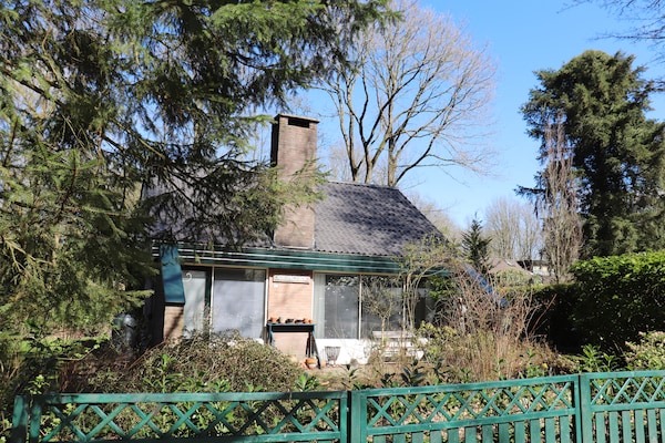 Foto van Boshuis in Appelscha bij Nationale Parken - Vakantiehuis in Appelscha - GardenSummer