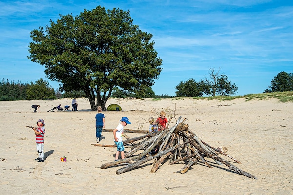 Foto van Boshuis in Appelscha bij Nationale Parken - Vakantiehuis in Appelscha - AreaSummer1KM