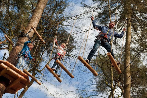 Foto van Boshuis in Appelscha bij Nationale Parken - Vakantiehuis in Appelscha - AreaSummer1KM