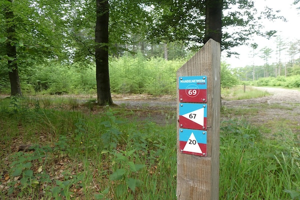 Foto van Boshuis in Appelscha bij Nationale Parken - Vakantiehuis in Appelscha - AreaSummer5KM