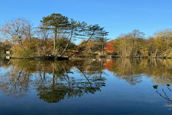Foto van Boshuis in Appelscha bij Nationale Parken - Vakantiehuis in Appelscha - AreaSummer20KM