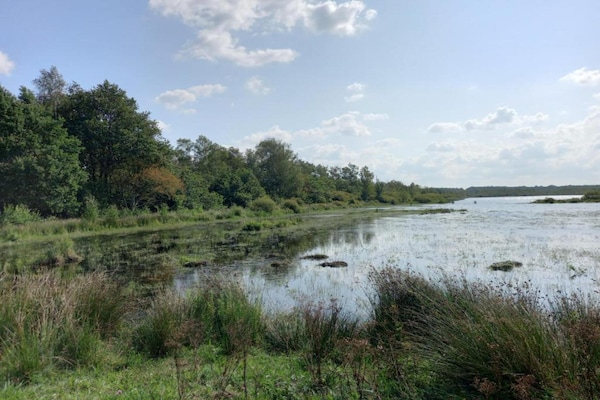 Foto van Boshuis in Appelscha bij Nationale Parken - Vakantiehuis in Appelscha - AreaSummer20KM