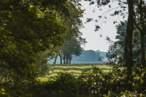 Foto van Boshuis in Appelscha bij Nationale Parken - Vakantiehuis in Appelscha - AreaSummer20KM