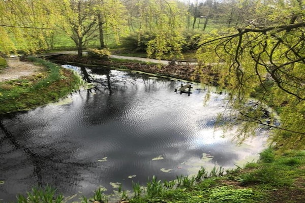 Foto van Boshuis in Appelscha bij Nationale Parken - Vakantiehuis in Appelscha - AreaSummer20KM