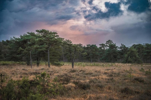 Foto van Boshuis in Appelscha bij Nationale Parken - Vakantiehuis in Appelscha - AreaSummer20KM