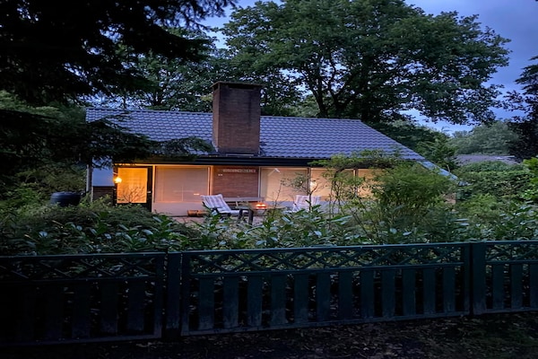 Foto van Boshuis in Appelscha bij Nationale Parken - Vakantiehuis in Appelscha - ExteriorSummer