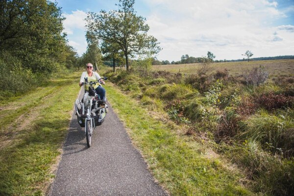Foto van Boerderij in Fochteloo bij Nationaal Park - Vakantiehuis in Fochteloo - AreaSummer20KM