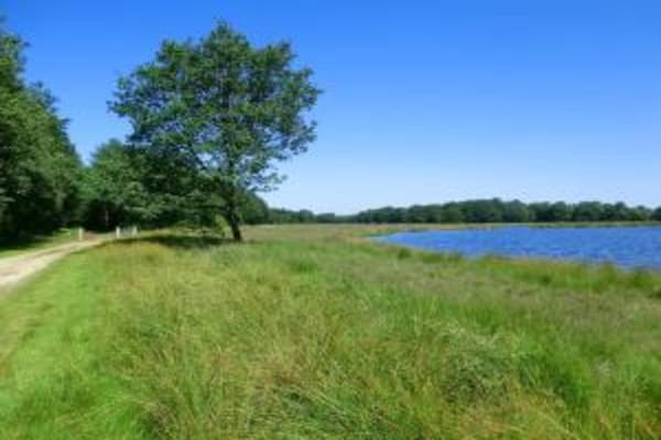 Foto van Rustig chalet dichtbij Norg - Vakantiehuis in Haulerwijk - AreaSummer20KM