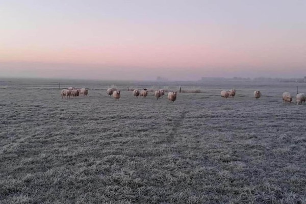 Foto van Luxe vakantiewoning omringd door water en bos - Vakantiehuis in Sint Nicolaasga - AreaSummer20KM