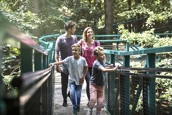 Foto van Ruim vakantiehuis met uitzicht op de kreek - Vakantiehuis in TA Gasselte - AreaSummer1KM