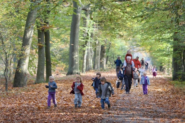 Foto van Rustig overnachten in Drenthe - Vakantiehuis in Borger - AreaSummer20KM