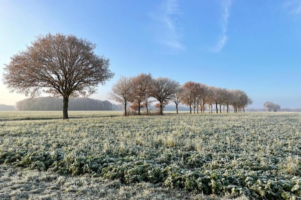 Foto van Rustig overnachten in Drenthe - Vakantiehuis in Borger - AreaSummer20KM