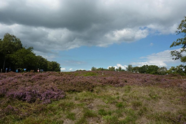 Foto van Rustig overnachten in Drenthe - Vakantiehuis in Borger - AreaSummer20KM