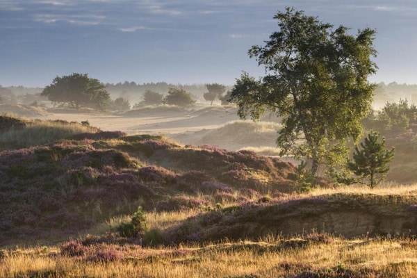 Foto van Rustig overnachten in Drenthe - Vakantiehuis in Borger - AreaSummer20KM