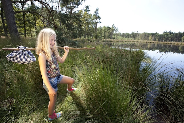Foto van Gezellig chalet met gedeeld zwembad - Vakantiehuis in Borger - AreaSummer5KM