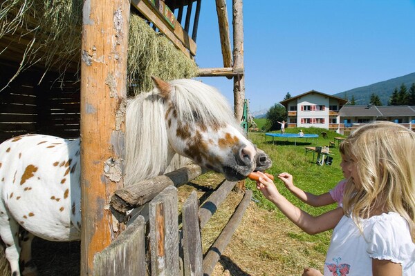 Foto van Appartementenhuis Isegrim, Altenmarkt - Vakantiehuis in Altenmarkt - Ambiance