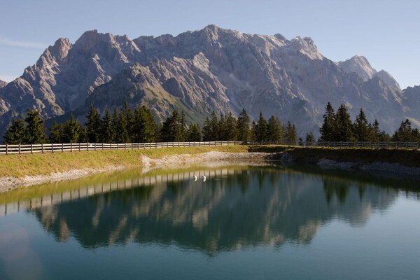Foto van Appartement met terras en toegang tot de spa. - Vakantiehuis in Dienten am Hochkönig - AreaSummer5KM