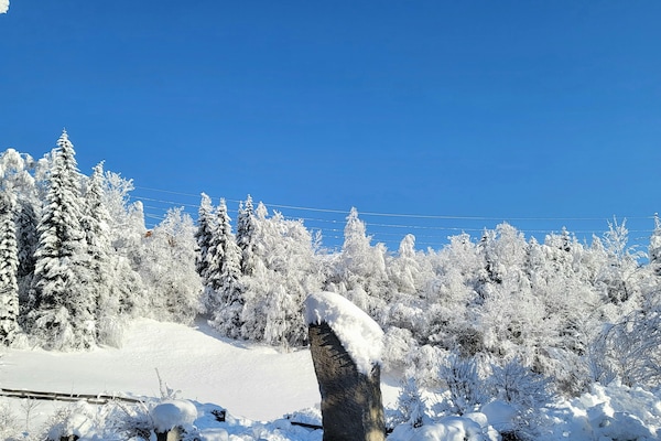 Foto van Appartement in Hohe Tauern met Uitzicht - Vakantiehuis in Neukirchen - AreaWinter5KM