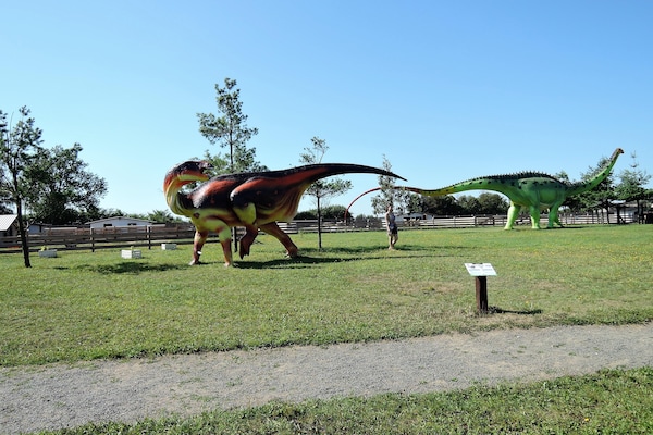 Foto van Vakantiehuis bij Oostzee en natuurgebied - Vakantiehuis in Wrzosowo - AreaSummer5KM