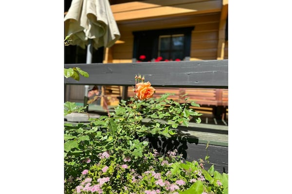 Foto van Blokhut op een afgelegen locatie - Vakantiehuis in Ulricehamn - Untagged