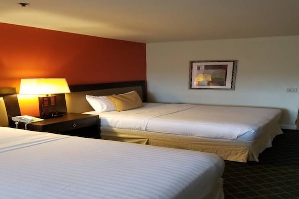 Foto van 2 tweepersoonsbedden | Nsmk, Micfridge - Vakantiehuis in Anaheim - BedRoom